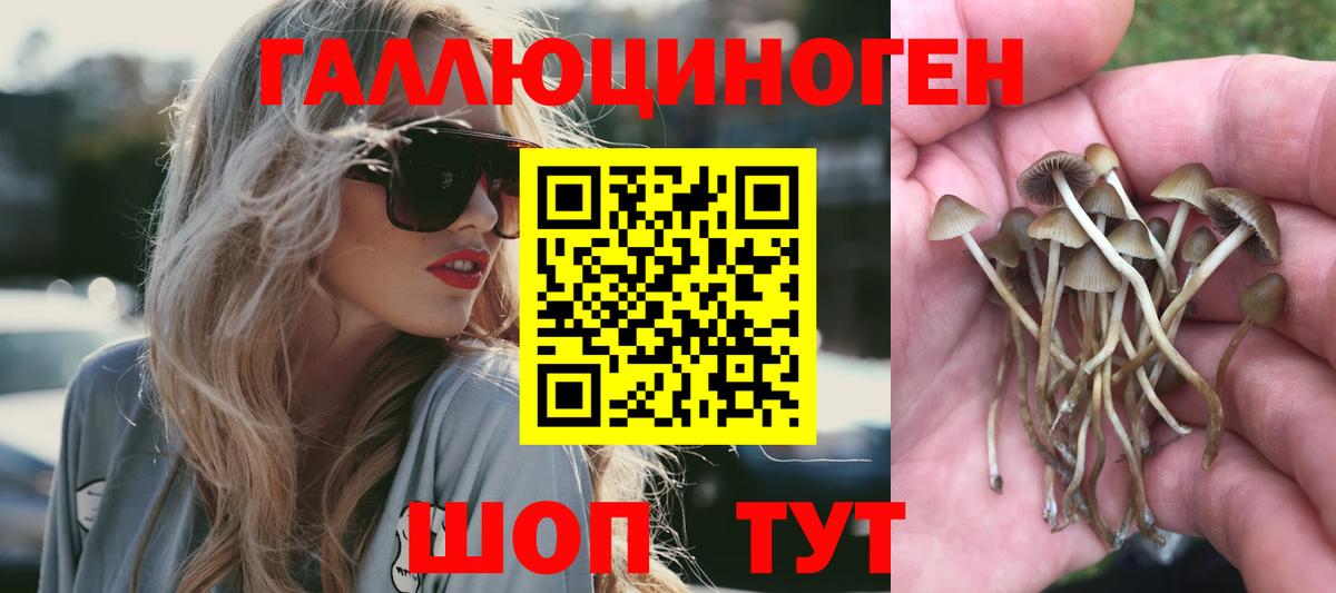 Псилоцибиновые грибы Psilocybe  Вход с VPN  Галлюциногенные грибы ЛСД  Гурьевск 
